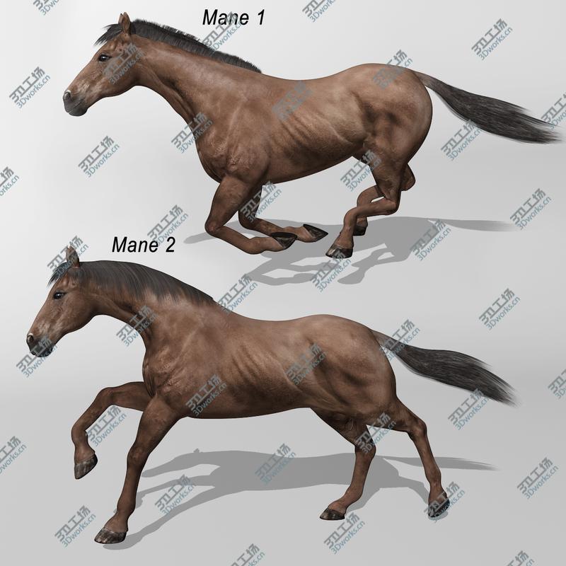 images/goods_img/20210115/3D Sicarius Archer/5.jpg